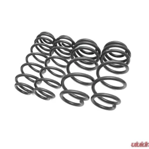 034 Motorsport Dynamic+ Lowering Springs Audi S4 B8 | B8.5 2010-2017 - Image 1