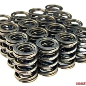 Blox Racing Valve Springs B18A-B | B20 1.8L-2.0L DOHC - Image 1