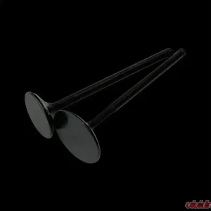 Brian Crower 33mm Intake w/Black Nitride Finish Valves Honda | Acura B18C | B16A | B17A - Image 1