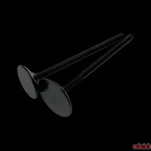 Brian Crower 28mm Exhaust w/Black Nitride Finish Valves Honda | Acura B18C | B16A | B17A - Image 1
