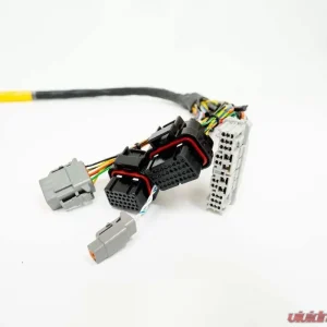 Rywire 13B Haltech Military Specification Engine Harness - Image 3