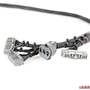 Rywire OBD2 Tuck Budget Engine Harness Honda B-Series - Image 2