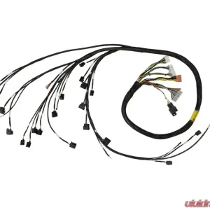 Rywire Military Specification Engine Harness Honda K-Series RWD 2002-2004 - Image 1