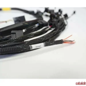 Rywire Military Specification Engine Harness Honda K-Series RWD 2002-2004 - Image 3