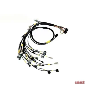 Rywire Engine Harness (w/FuelTech 550 ECU) Honda B-Series - Image 1
