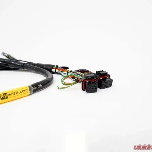 Rywire Engine Harness (w/FuelTech 550 ECU) Honda B-Series - Image 2