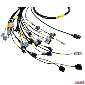 Rywire Honda K-Series (w/Haltech Elite 1500+) Engine Harness (2B) Acura Integra 2000-2001 - Image 1