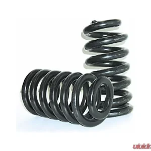 Brothers Trucks Front Coil Springs Chevrolet | GMC C10 1/2 Ton 1963-1972 - Image 1