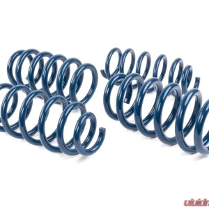 Dinan Performance Spring Set Tesla Model 3 2018-2023 - Image 3